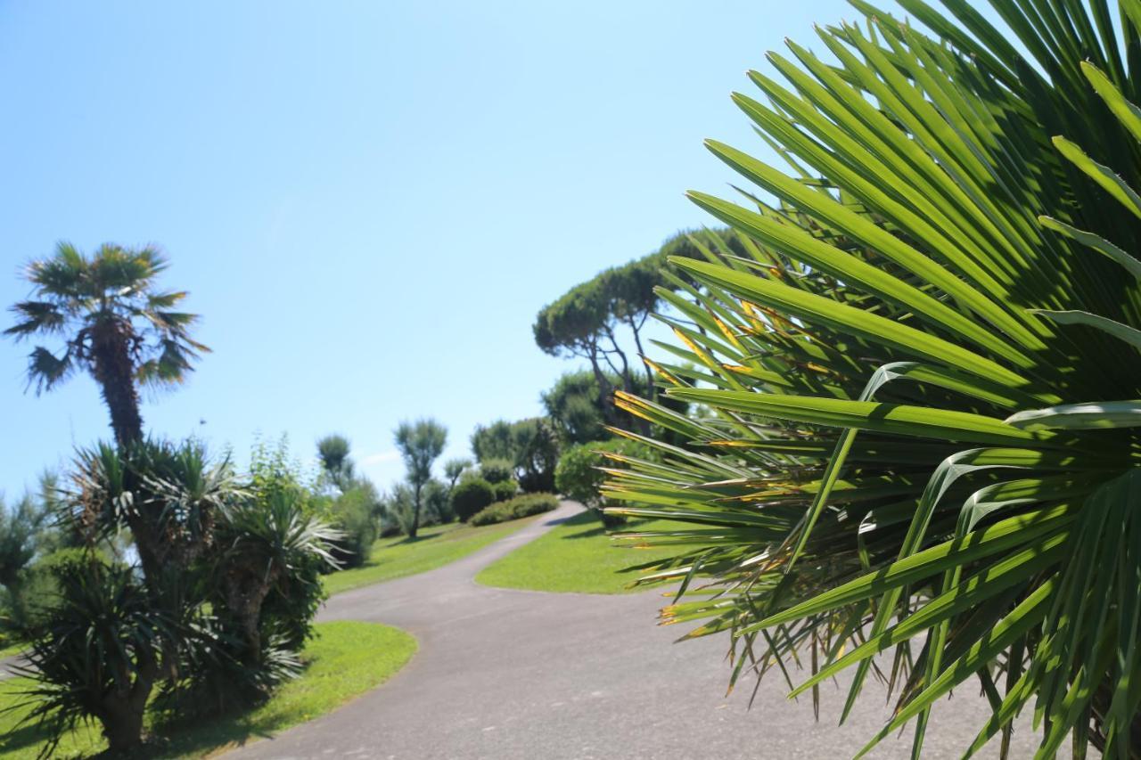 Ferienwohnung Seaside Terrace & Pool Getaway Cavallino-Treporti Exterior foto
